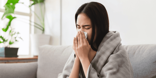 echinacea for cold and flu