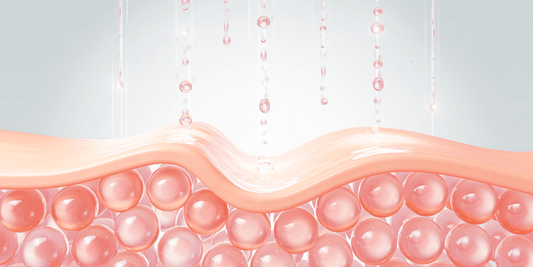 Types of collagen