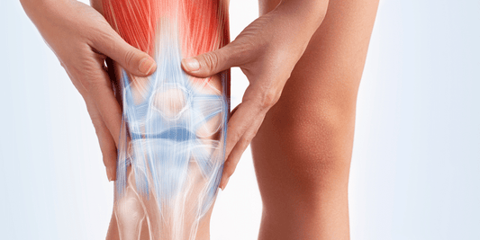 how to maximise muscle recovery