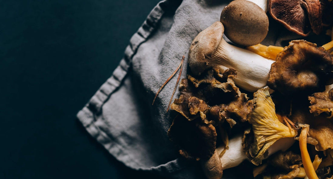 Mushroom health benefits