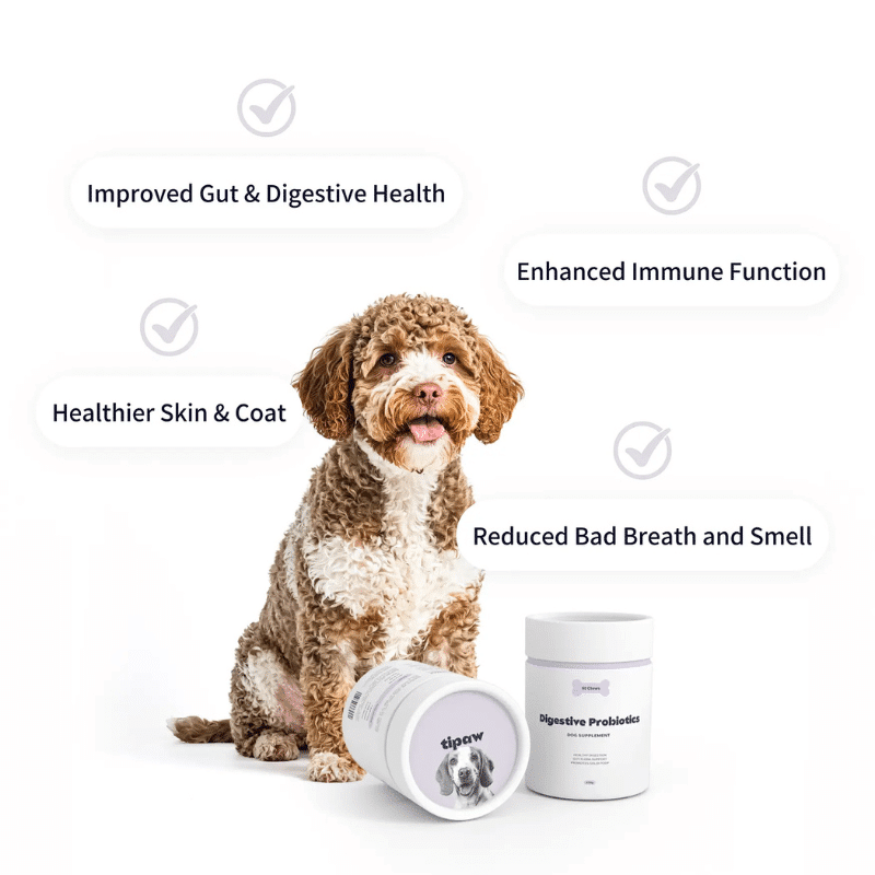 Tipaw Digestive Probiotic Supplement For Dogs