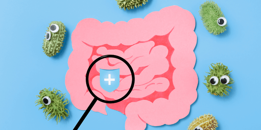 a guide to probiotics