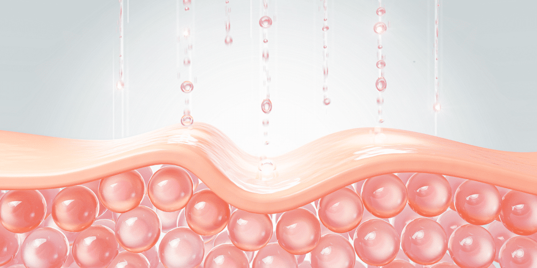 Types of collagen