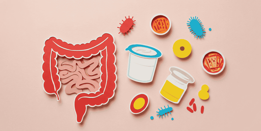 Boost Your Gut & Immunity Before the Holidays