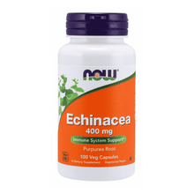 Now Foods Echinacea 400mg Veg Capsules
