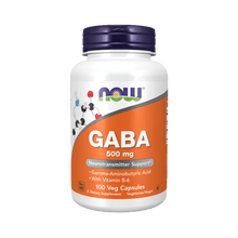 NOW Foods GABA 500mg