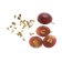 Grape Seed Extract