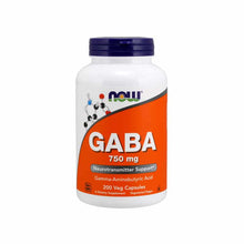 NOW Foods GABA 750mg