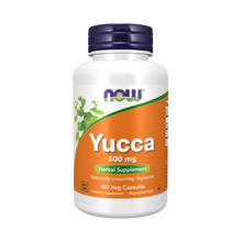 Now Foods Yucca 500mg