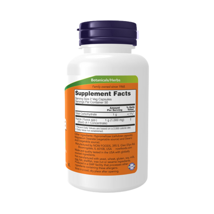 Now Foods Yucca 500mg