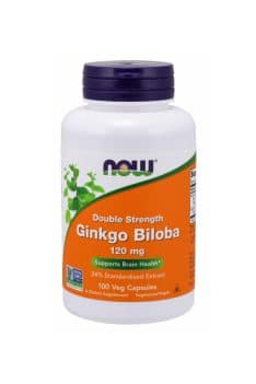 NOW Foods Ginkgo Biloba Double Strength 120mg