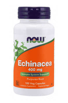 Now Foods Echinacea 400mg Veg Capsules