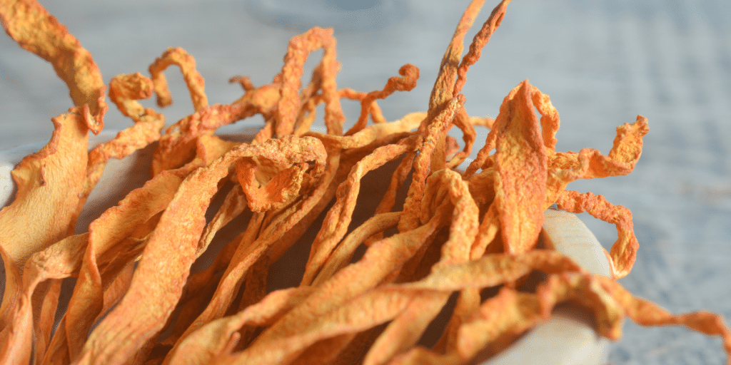 what are cordyceps