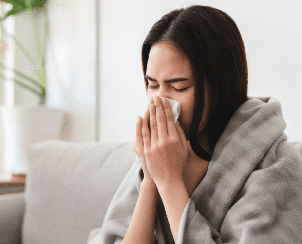 echinacea for cold and flu