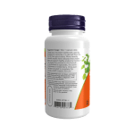 Now Foods Chaste Berry Vitex Extract 300mg